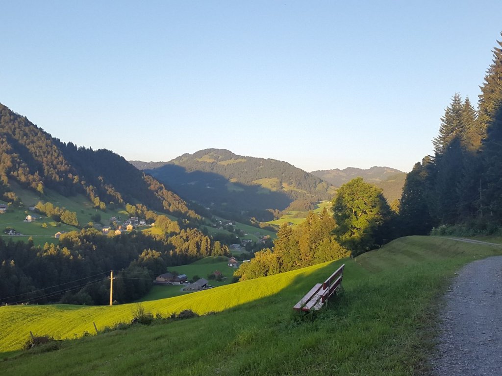 Themenweg Rotenberg-Wald in Lingenau